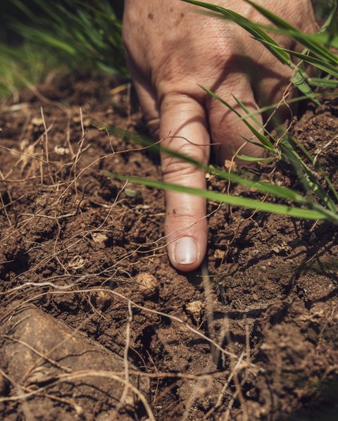 Diagnósticos de terreno 
